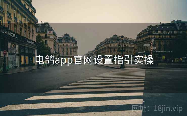 电鸽app官网设置指引实操 第1张 电鸽app官网设置指引实操 第1张