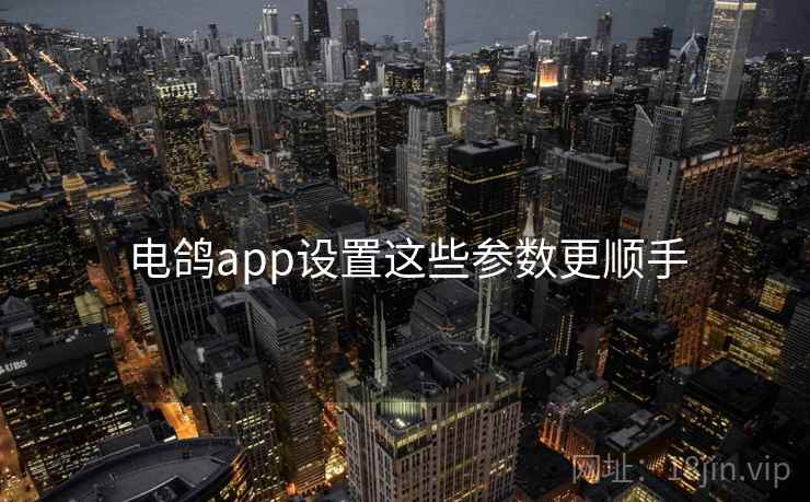 电鸽app设置这些参数更顺手 第1张 电鸽app设置这些参数更顺手 第1张