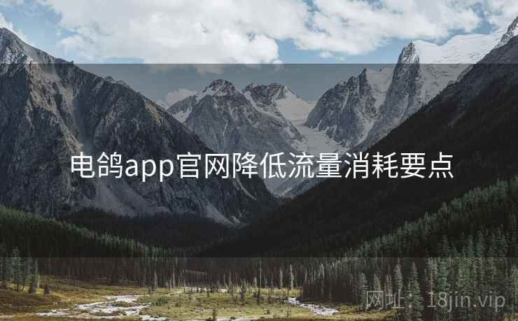 电鸽app官网降低流量消耗要点 第2张 电鸽app官网降低流量消耗要点 第2张